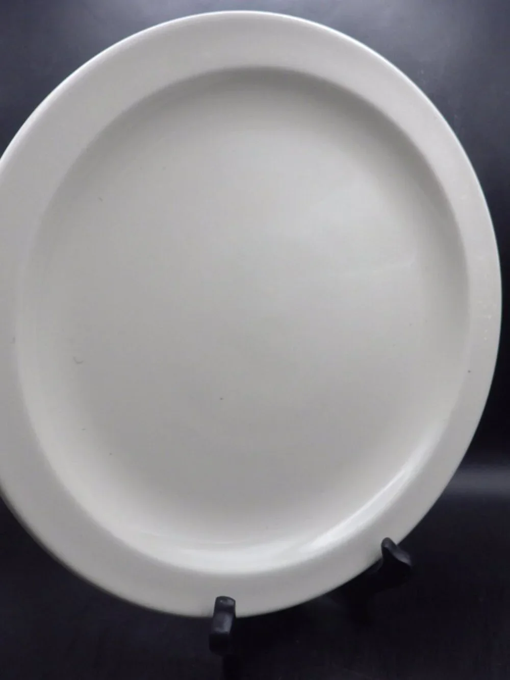 Midwinter Stonehenge White Dinner Plate/ Made in England